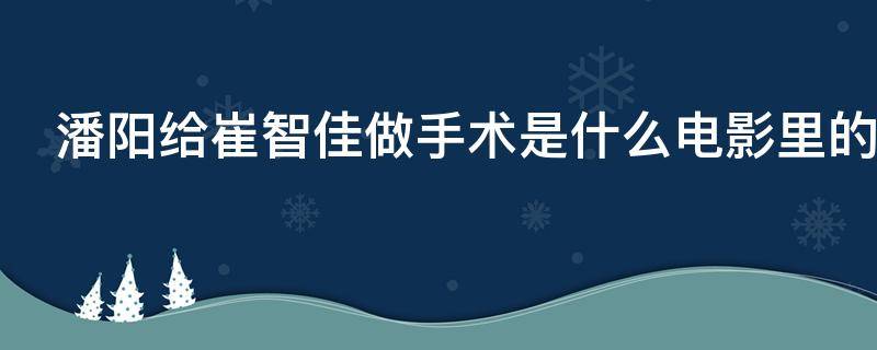 崔智佳