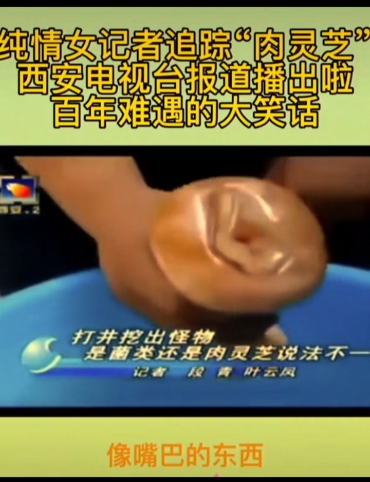 女记者肉灵芝