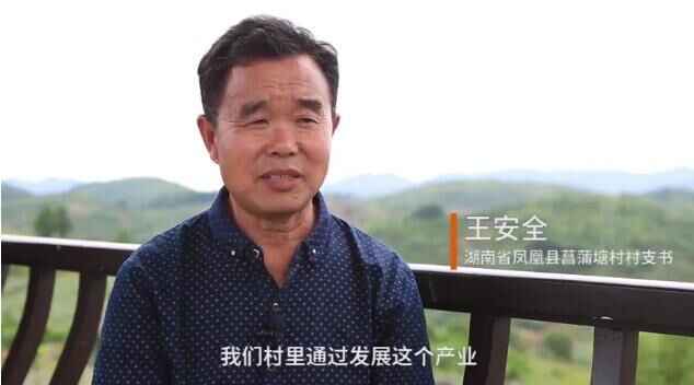 导演王平安