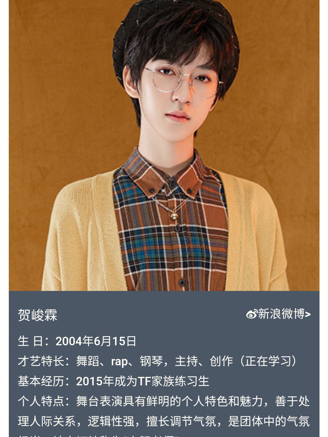 贺峻霖411事件经由