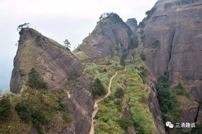 桂平西山左近一座山挖出140岁蛇精16米长的复杂引见
