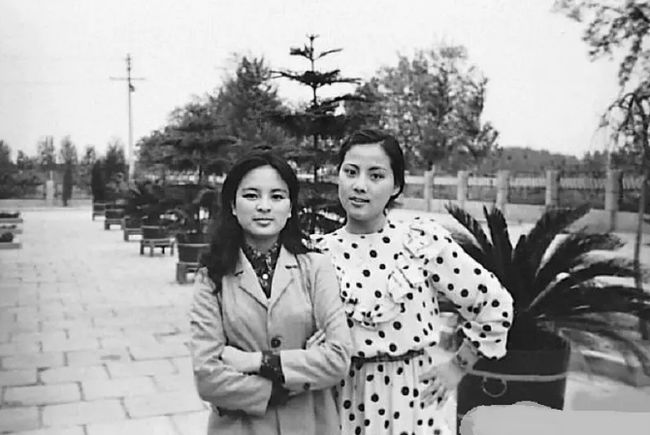 军统围猎的女人