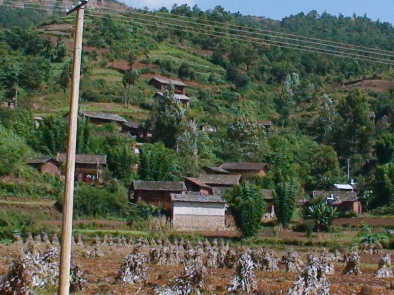 陆元箐