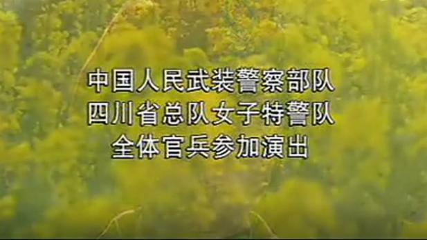女子特警队演员表