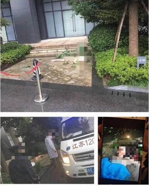 杨旭文和任娇本相 杨旭文和任娇本相