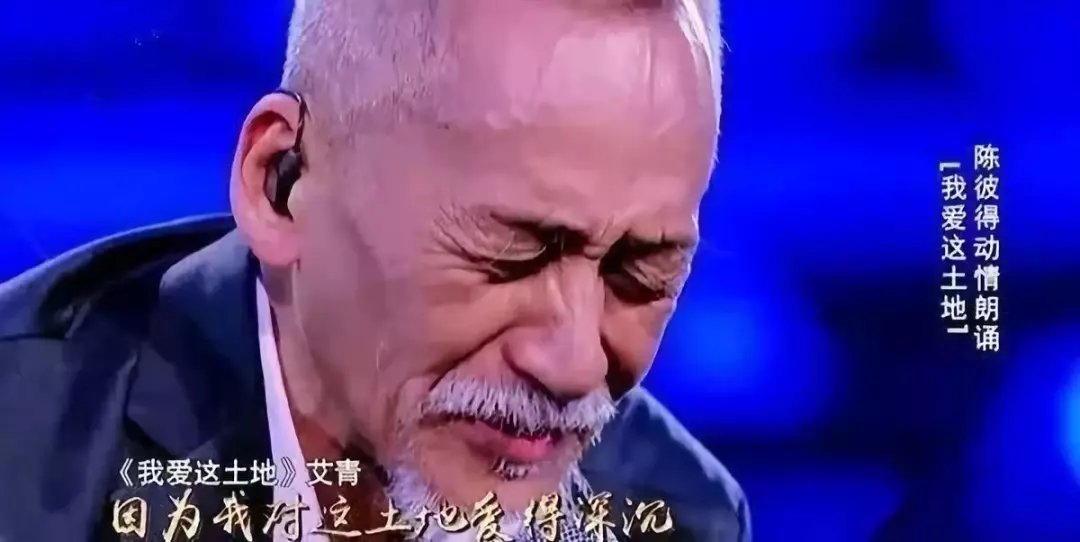陈彼得团体简历