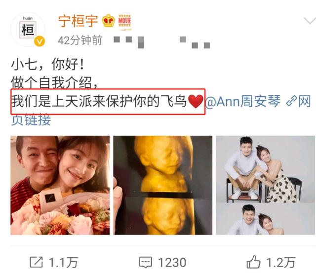 包括13届快男宁桓宇仳离的词条