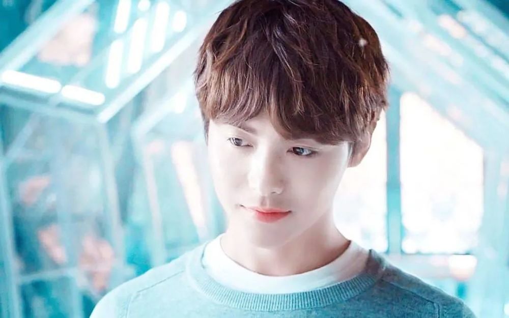 包括马天宇献血被拒的词条 包括马天宇献血被拒的词条