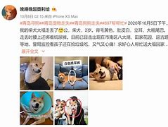 邓尘朵被谁牵走了
