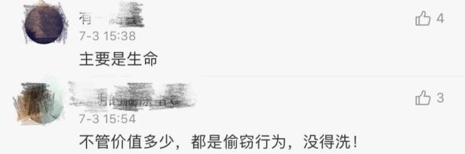 警方回应王珞丹寻鸭