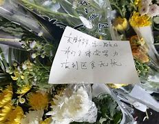 港星万梓良送别袁隆平 港星万梓良送别袁隆平