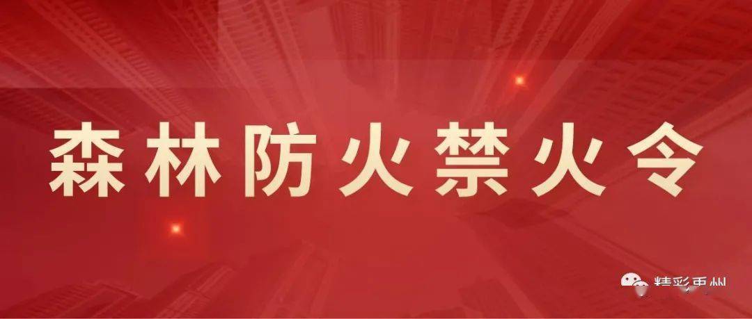 禁娱令