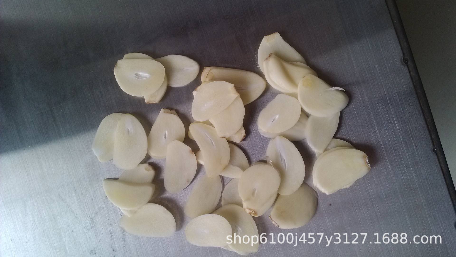 我们成婚了111217