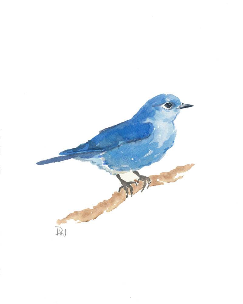 金荷娜bluebird