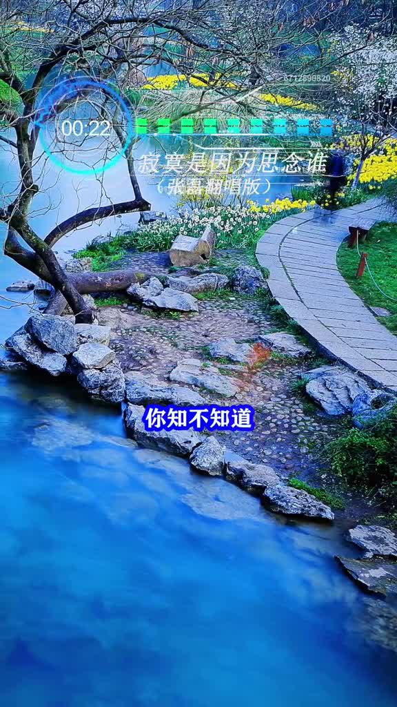 寥寂是因为怀念谁张磊
