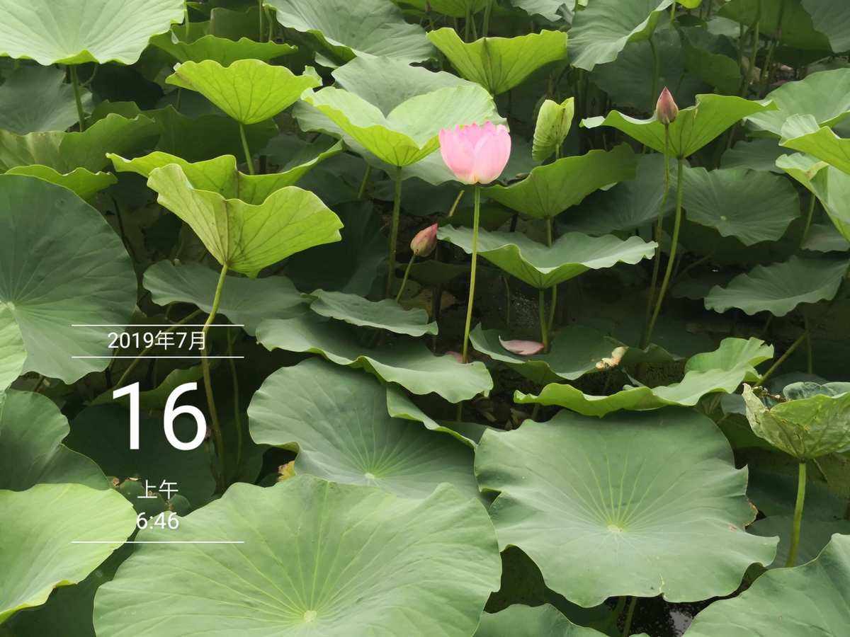 强心脏100817