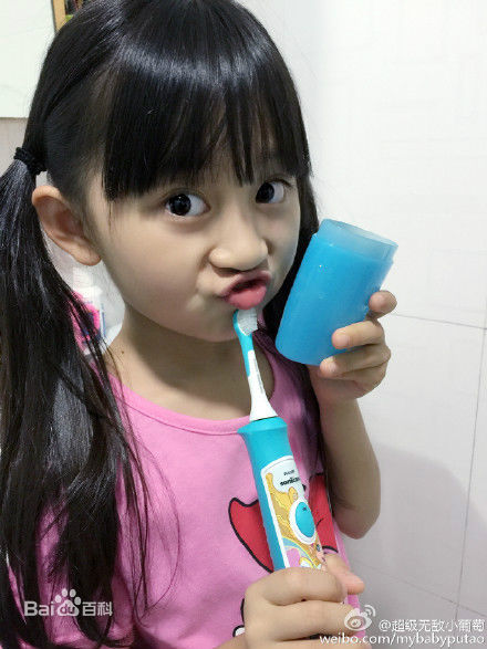 小葡萄博客 小葡萄博客