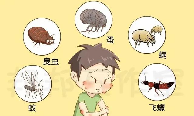包括假期出游把稳蜱虫隐翅虫等毒虫的词条