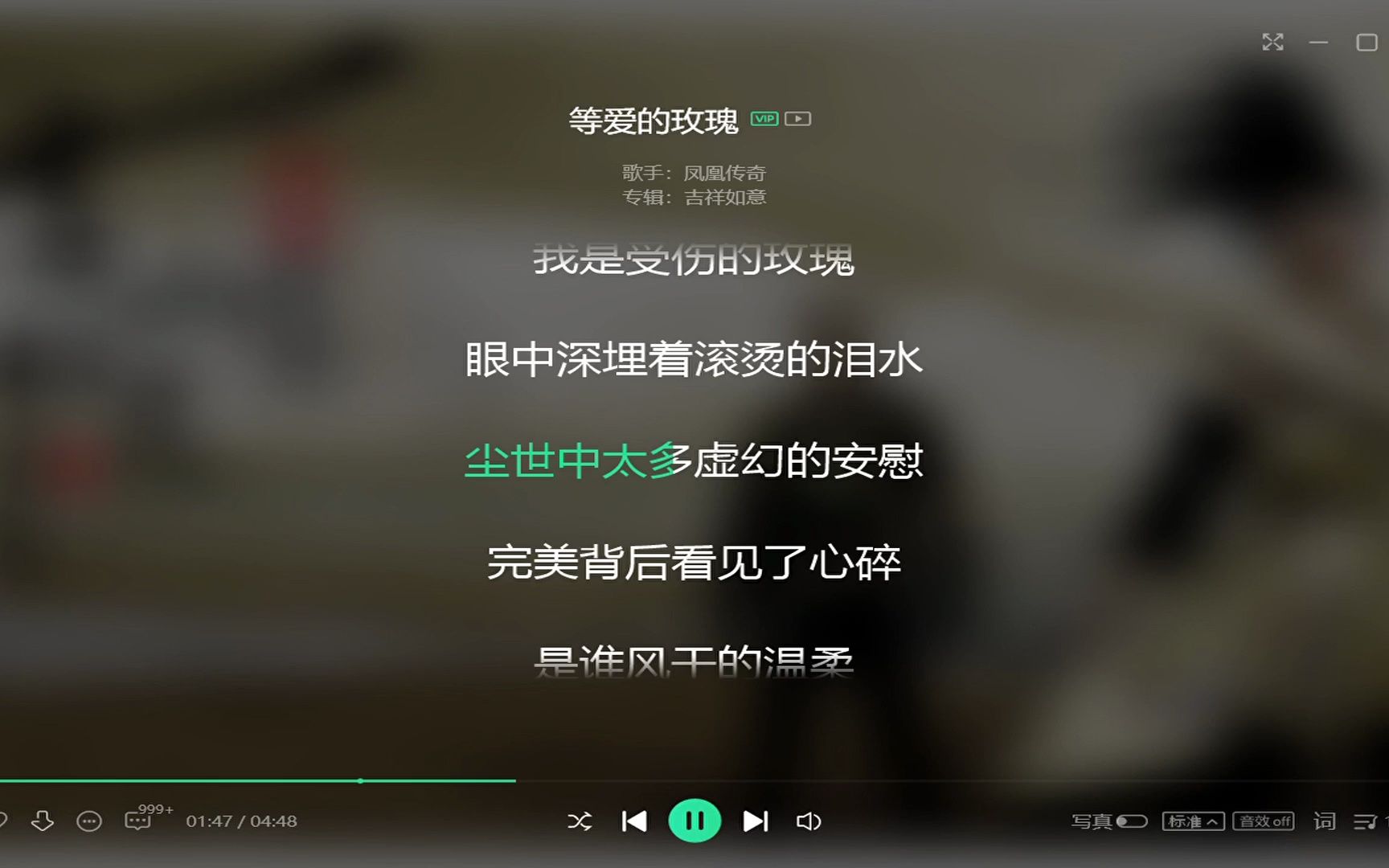 等爱的玫瑰伴奏