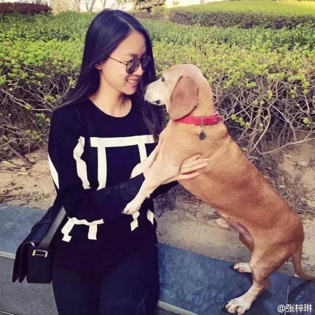 张梓琳确认已有身