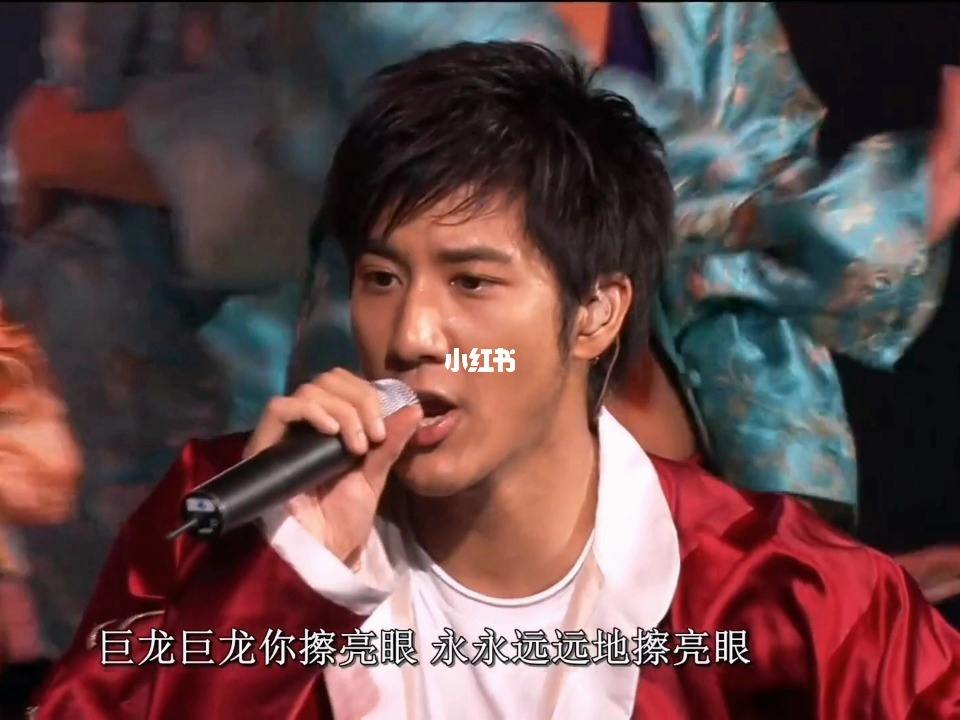 王力宏六盘水演唱会