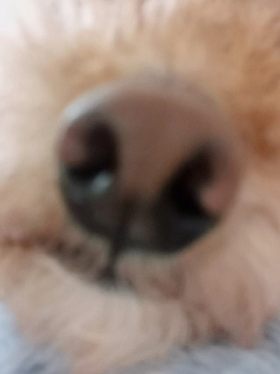 薄情王爷啵一个 薄情王爷啵一个