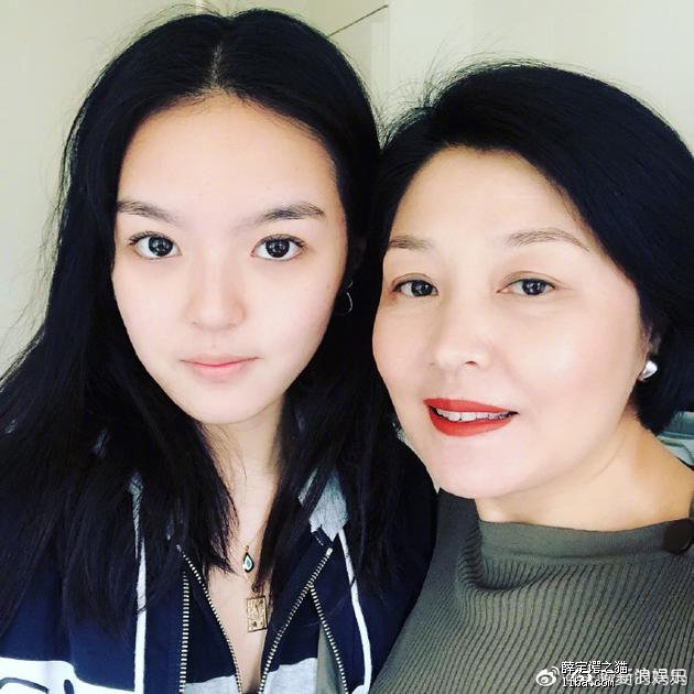 哈文的个人资料