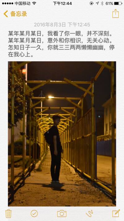 我爱情了歌词