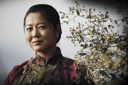 王茜华简历 王茜华简历