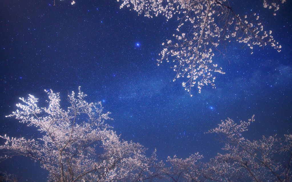 星座书上mv