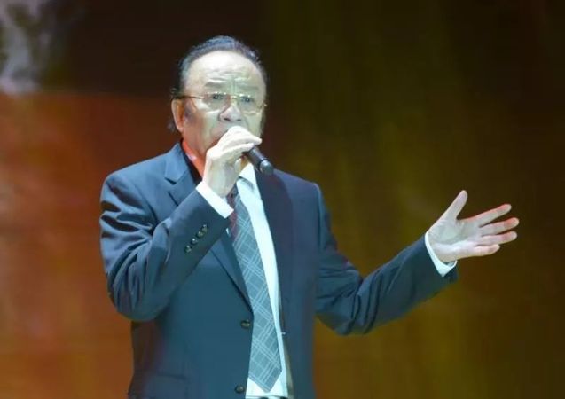 杨洪基团体材料简介
