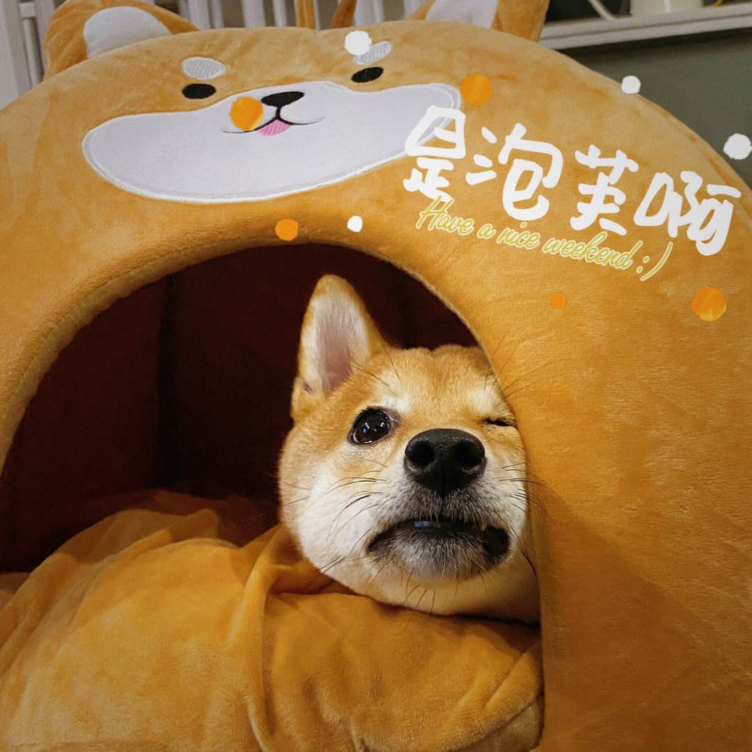 新窝歌词 新窝歌词