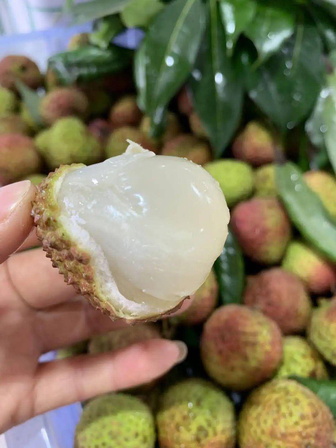 妃子笑剧情