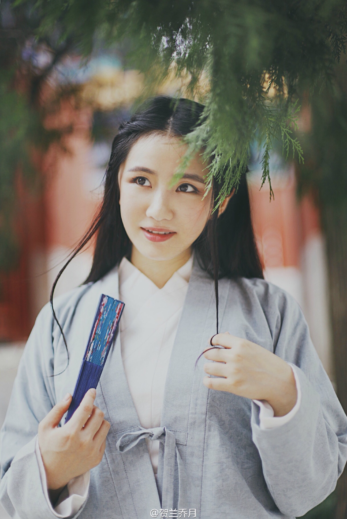 贺兰乔月 贺兰乔月