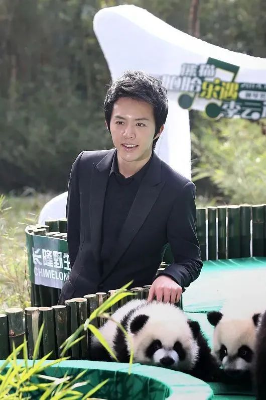 李云迪百度百科 李云迪百度百科