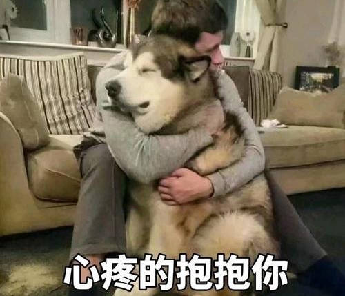 胡广松照片