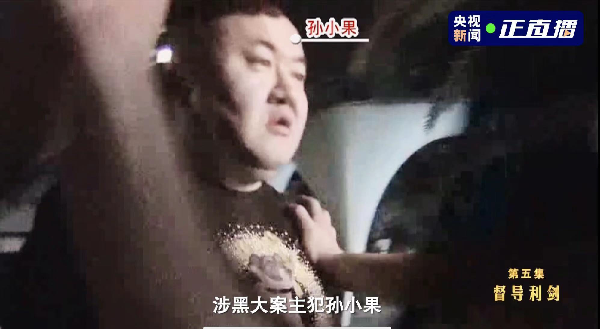 孙小果案件的女生