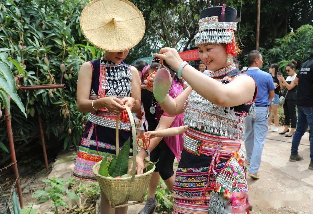 金芒果粉丝节 金芒果粉丝节