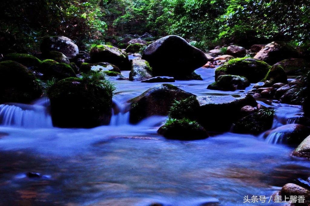 溪水长流水蜜桃小花喵