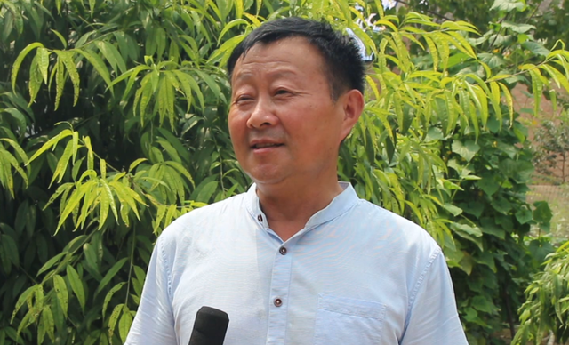 马化曼琳