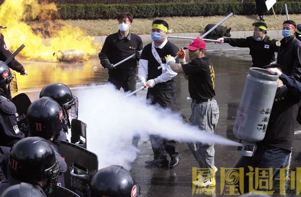 实尾岛豆瓣 实尾岛豆瓣