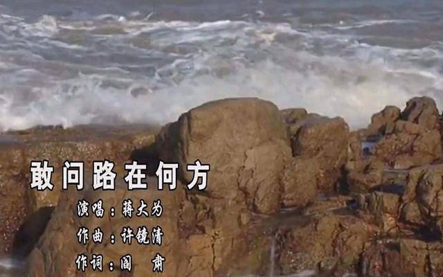 谭维维敢问路在何方