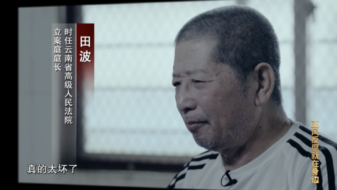 孙小果做了什么事