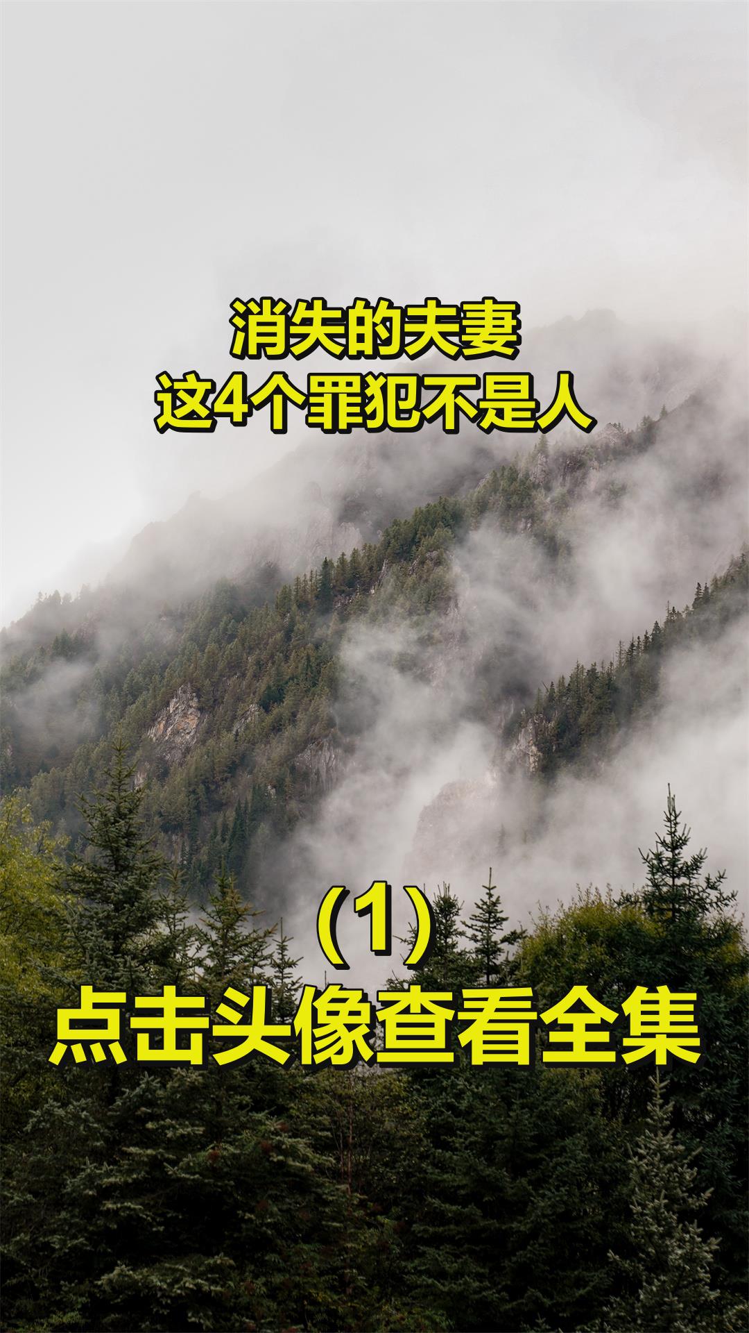 消失的夫妻细节还原