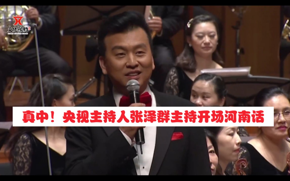 央视主持人张泽群怒批河南卫视 央视主持人张泽群怒批河南卫视
