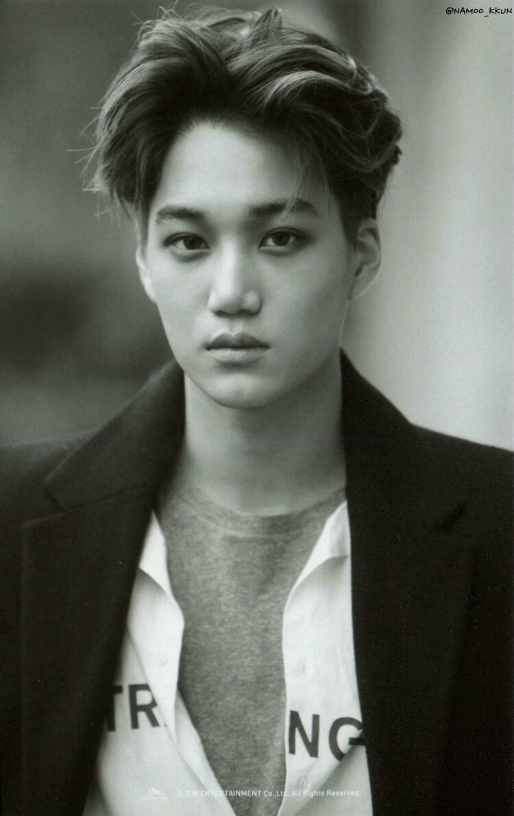 金钟仁的韩国综艺 金钟仁的韩国综艺