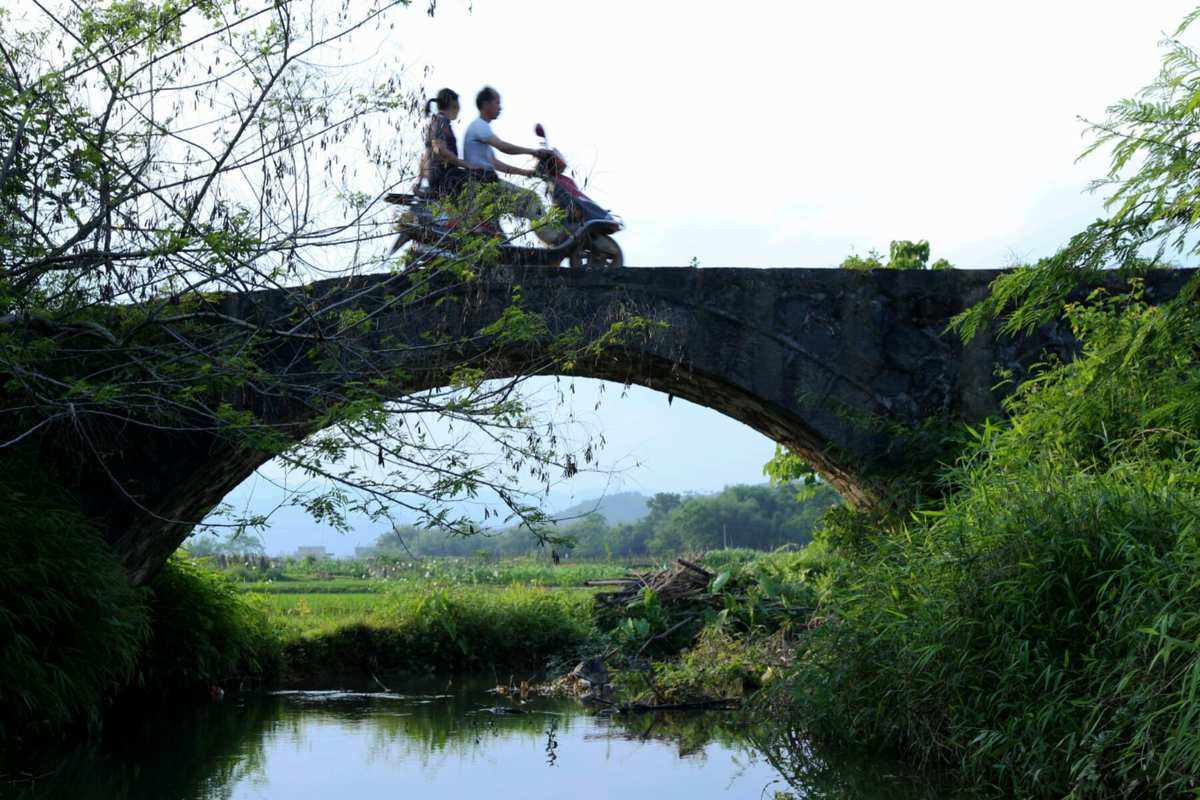 我在桥上看风景