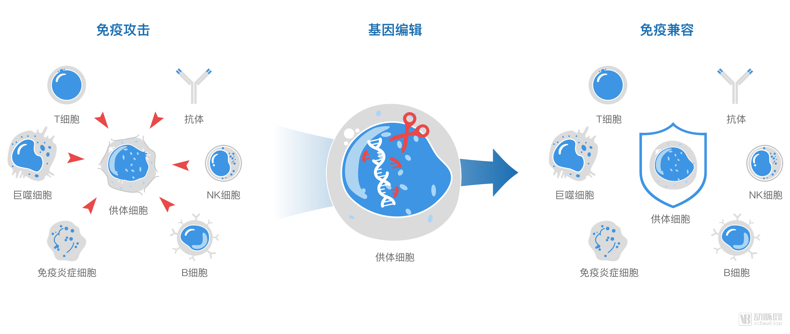 杨璐菡 杨璐菡博士的最新消息 