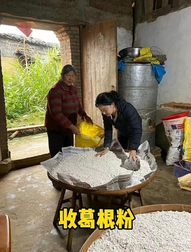 沈丹团体材料简介 网红沈丹团体材料简介 