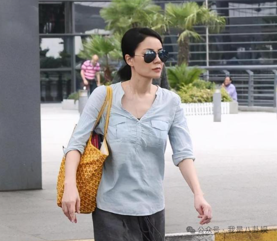 王菲婚史 王菲婚史简介 